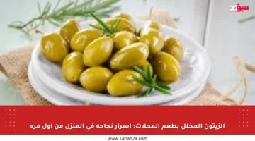 الزيتون المخلل بطعم المحلات: أسرار نجاحه في المنزل من أول مرة